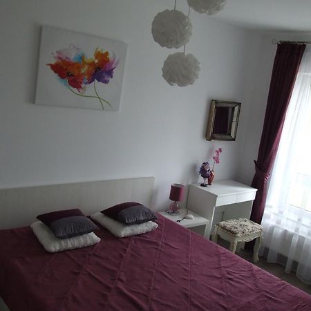 Anca Apartment Braşov Exteriör bild
