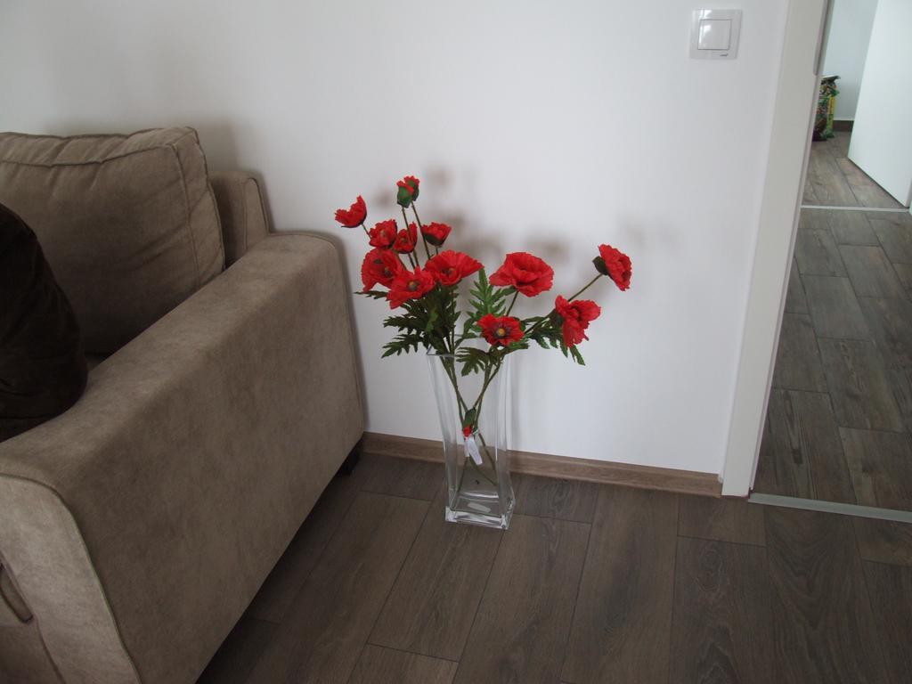 Anca Apartment Braşov Exteriör bild