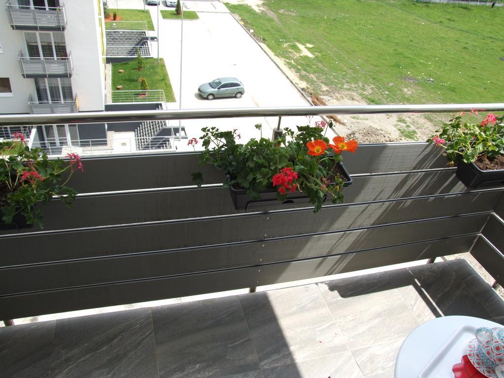 Anca Apartment Braşov Exteriör bild