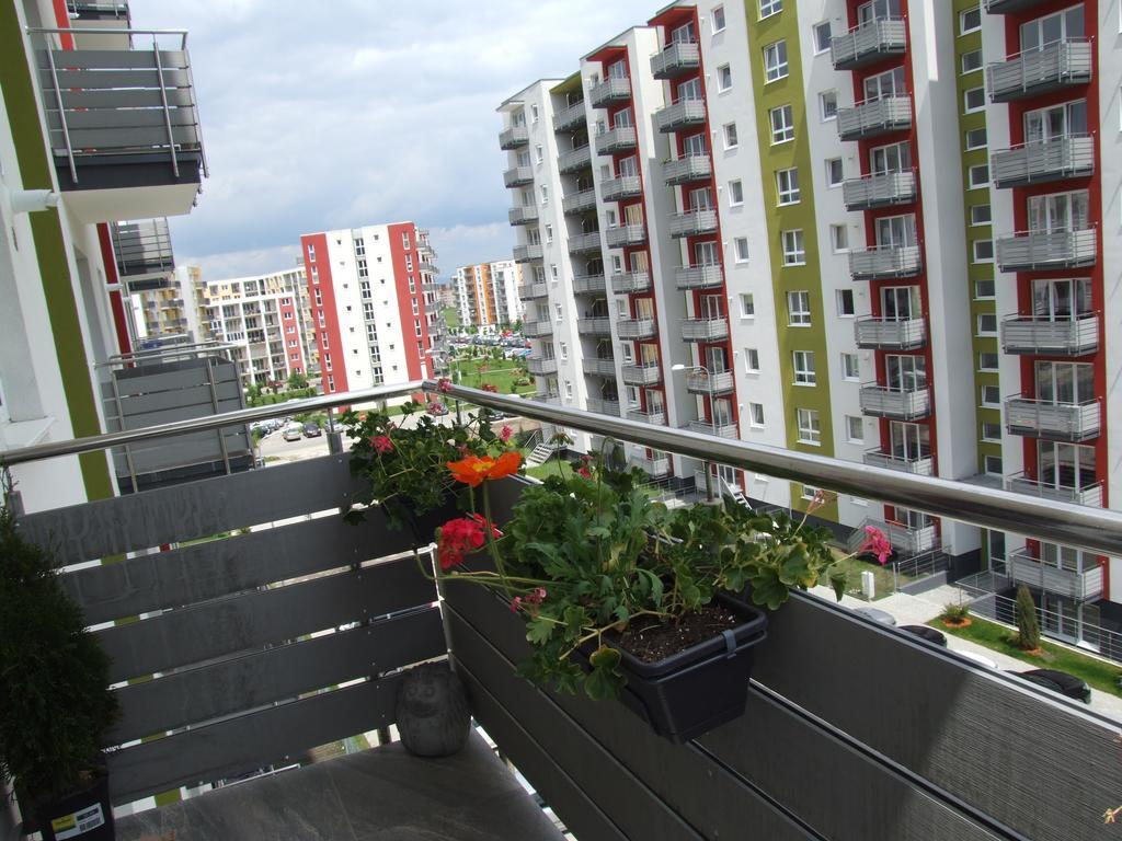 Anca Apartment Braşov Exteriör bild